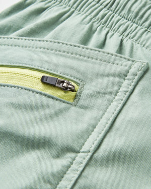 Basswood Organic Cotton Shorts - Pistachio