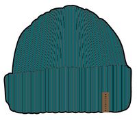 Compass Recycled Beanie - Shaded Spruce