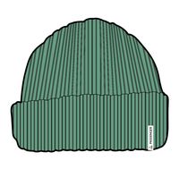 Compass Recycled Beanie - Green Spruce